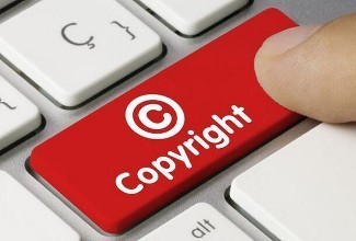 版权登记与域名注册申请的全流程指南及其费用分析